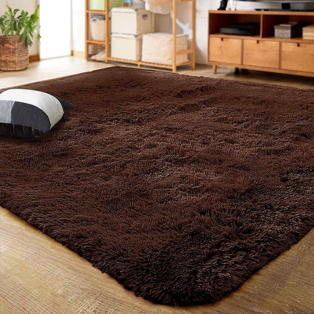 Lochas Luxury Fluffy Rugs Ultra Soft Shag Rug for Bedroom Living Room Kids Room Children6'x9'Coffee(4' x 5.3'/Coffee)