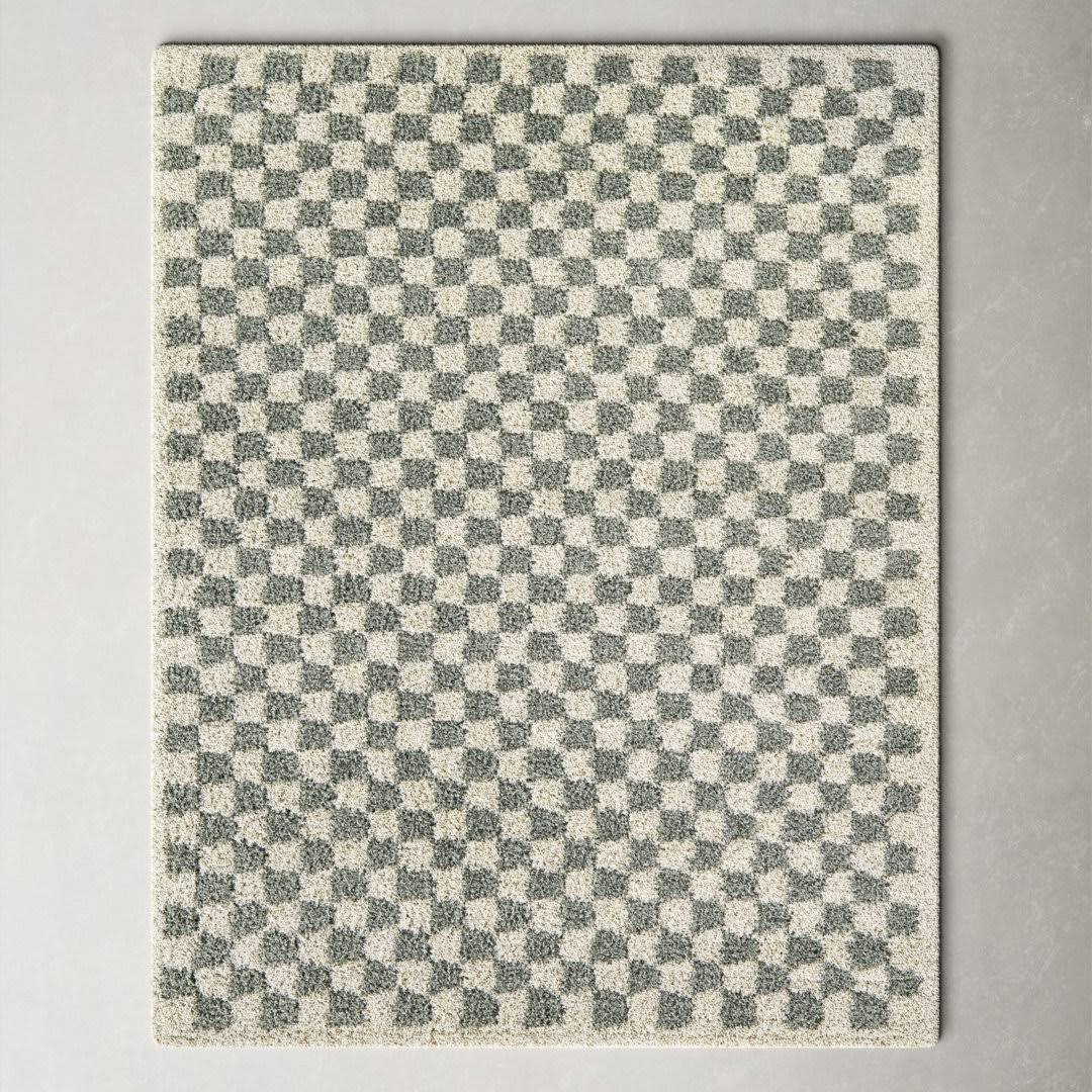 Walker Checkered Sage/Cream Shag Area Rug AllModern Rug Size: Rectangle 6'7" x 9'